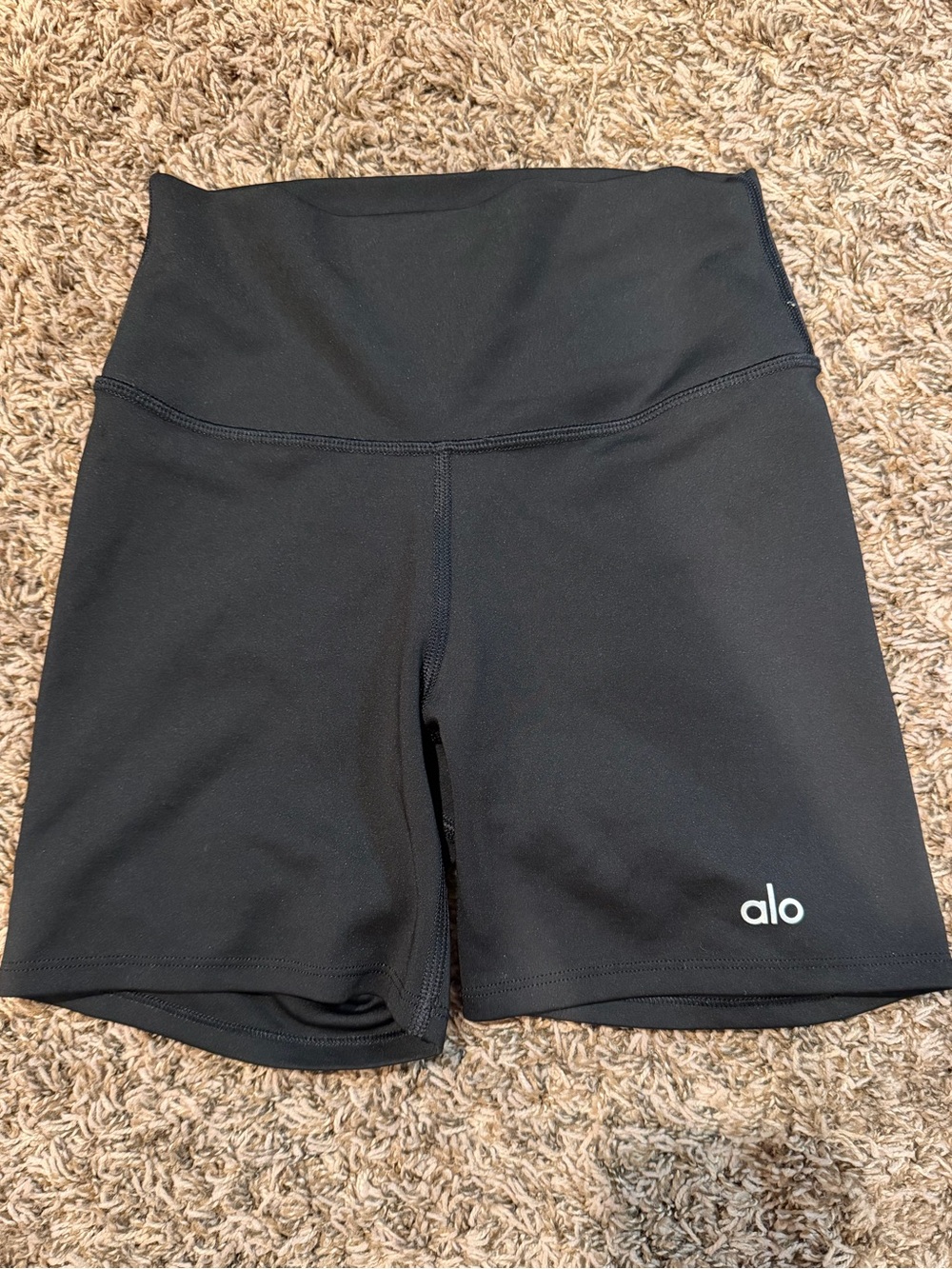 ALO Yoga Black High-Rise Bike Shorts
